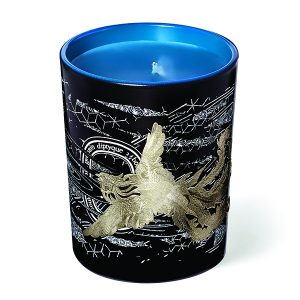 Diptyque Incense Tears - The Phoenix 190g